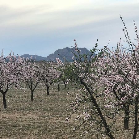 Cortijo De Los Castellanos Las Ventanas 外观 照片