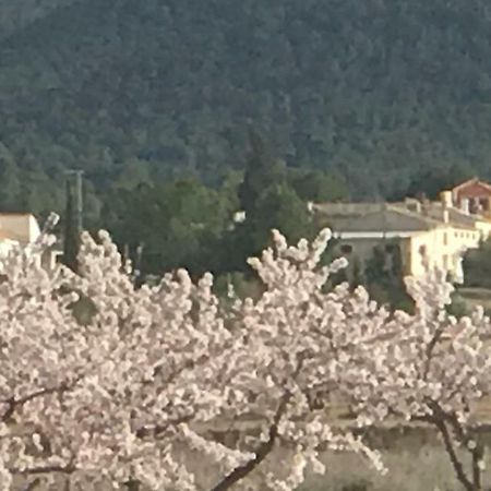 Cortijo De Los Castellanos Las Ventanas 外观 照片
