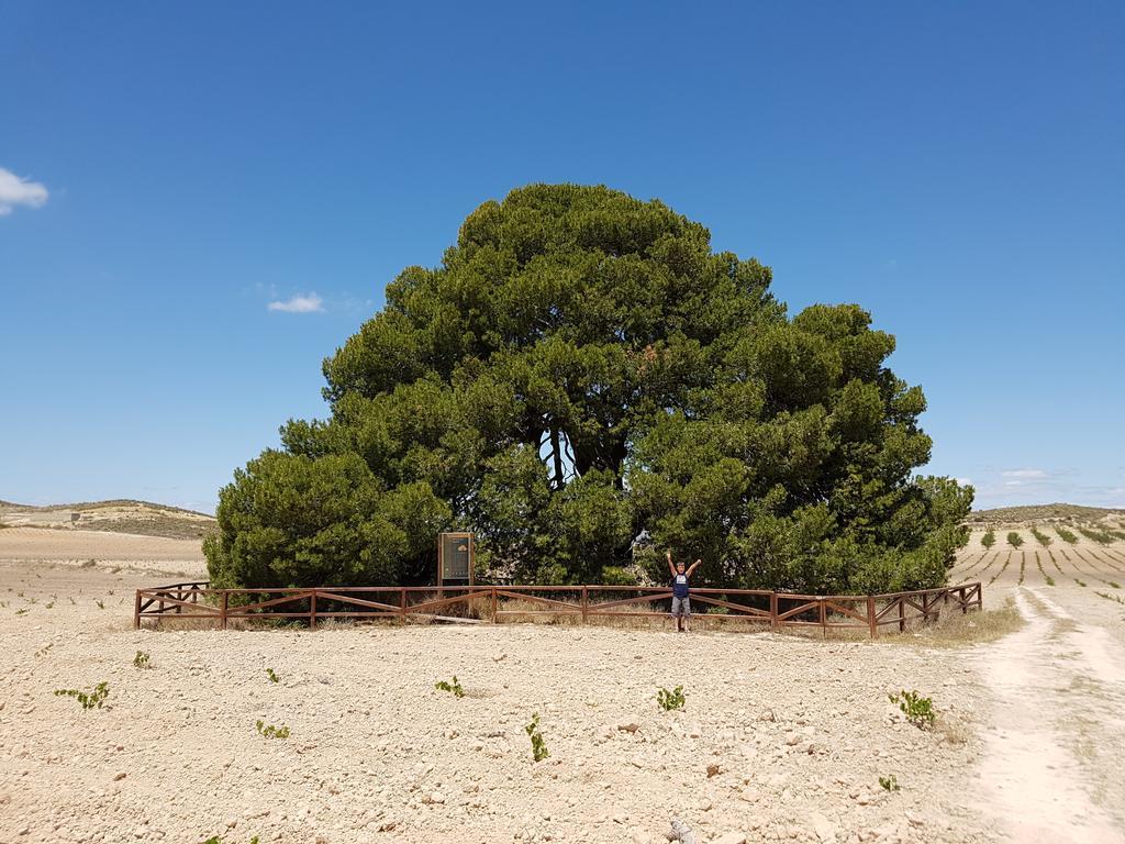 Cortijo De Los Castellanos Las Ventanas 外观 照片