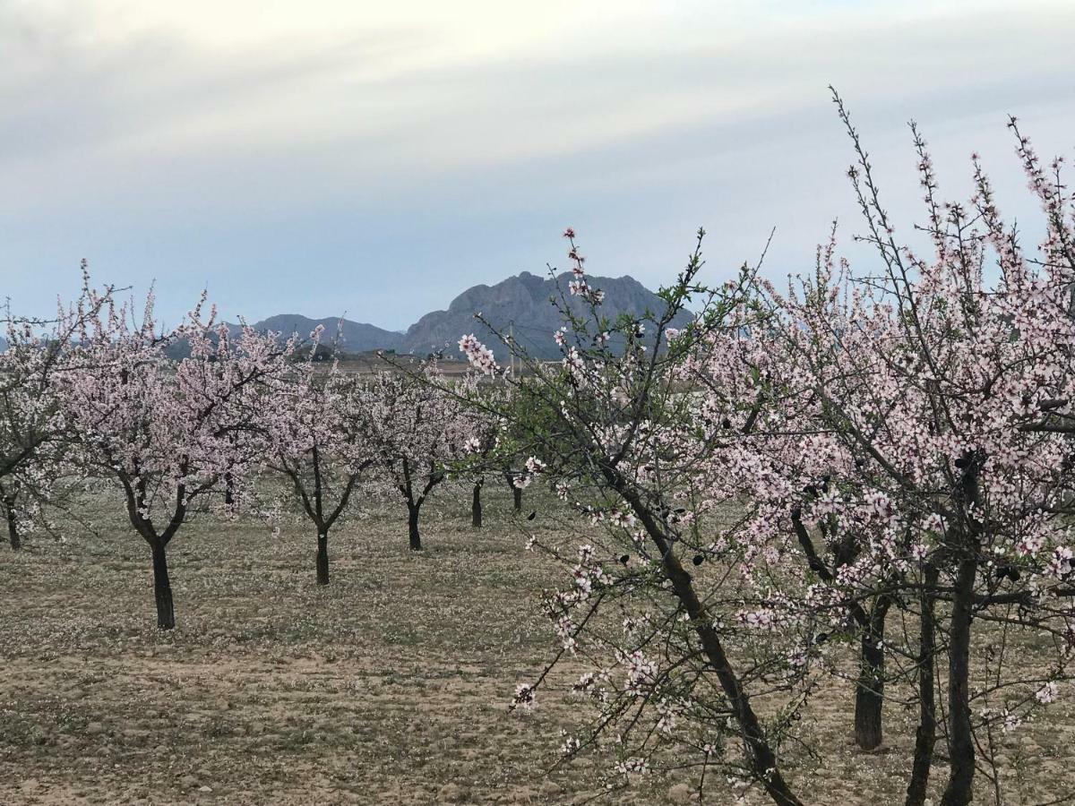 Cortijo De Los Castellanos Las Ventanas 外观 照片
